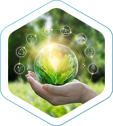 Trách nhiệm - Bền vững