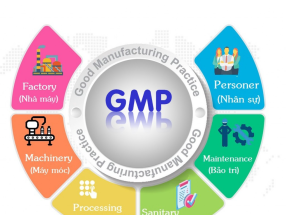 Tư vấn GMP cho nhà máy dược: Hồ sơ – Quy trình – Audit